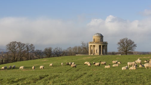 Blue skies and light white clouds with the Panorama Tower in the background. Lambs are grazing in the green fields in front.